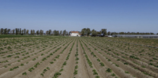 © lapresse -cecilia fabiano