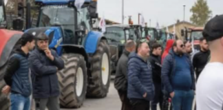 Gli allevatori bufalini bloccano le strade