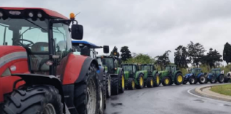 Allevatori in rivolta, Domiziana bloccata