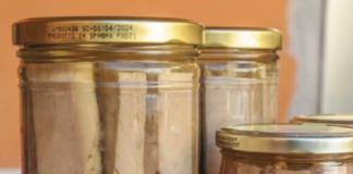 Tonno, una scatoletta insostenibile