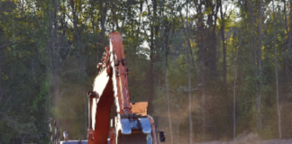 Deforestazione, il sud rischia di più