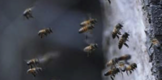 © lapresse - Marco Ugarte