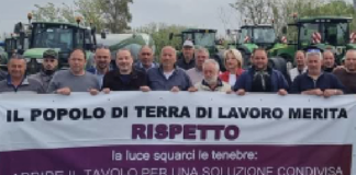 Brucellosi, il commissario costa caro