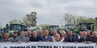 Brucellosi e rischio di aborti, De Luca sotto assedio