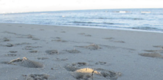 © lapresse - wayne parry