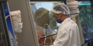 A scientist works in a cellular agriculture lab at Eat Just in Alameda, Calif., Wednesday, June 14, 2023. The U.S. government is allowing the sale of chicken made from animal cells. California companies Upside Foods and Good Meat were granted permission on Wednesday, June 21, 2023 to sell their products by the Agriculture Department. Proponents say this “cultivated meat” is better for animals and the environment because livestock doesn’t need to be raised and killed to produce it. (AP Photo/Jeff Chiu)