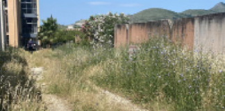 Degrado al cimitero, rivolta bipartisan