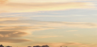 © lapresse - Giordan Ambrico