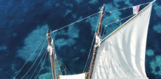 In viaggio su un mare da salvare