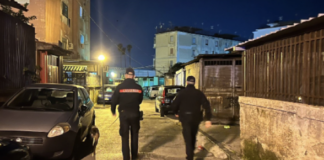 I De Martino chiedono aiuto agli Aprea