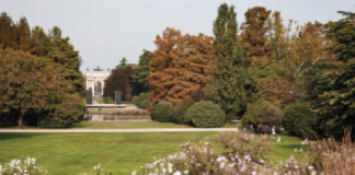 Verde in città e le temperature vanno giù