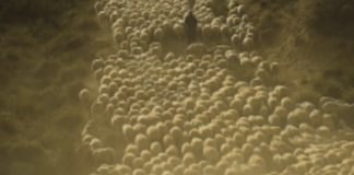 © lapressE - Alvaro Barrientos