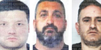 Pasquale D'Alessandro, Antonio Rossetti e Luigi Vitale