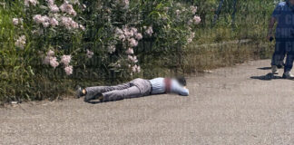 La scena del delitto