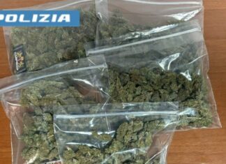 Inseguito dalla Polizia, butta 5 bustine di marijuana fuori dall’auto: arrestato pusher 38enne Operazione della polizia