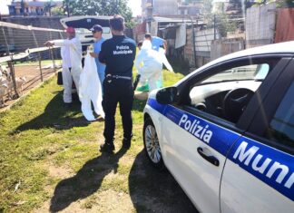 Arzano, allarme peste suina: Municipale scopre allevamento abusivo