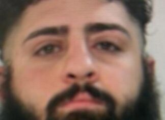 Camorra casertana, arrestato il narcos Luigi Belvedere