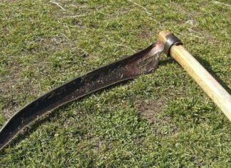 Grazzanise, litigano impugnando pistola e falce: assoluzione e prescrizione per due