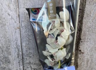 Turista spagnolo investito mortalmente, i familiari dal sindaco Mirra: “Grazie alla città per la vicinanza”