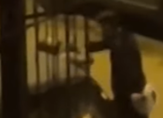 “Ti spacco la testa nel vetro”: picchia la fidanzata in strada e viene filmato a Casoria