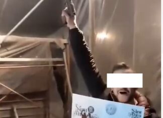 Sant’Antuono, capocarro spara con pistola a salve durante la festa: polemiche a Macerata Campania