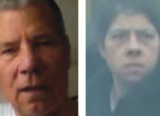 Ex bidello ammazzato con tre colpi alla nuca per i soldi dell’eredità: in manette la figlia