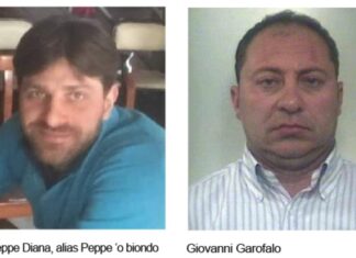 Da ‘garzone’ di Garofalo a imprenditore: il cammino di Diana tracciato dalla Dda