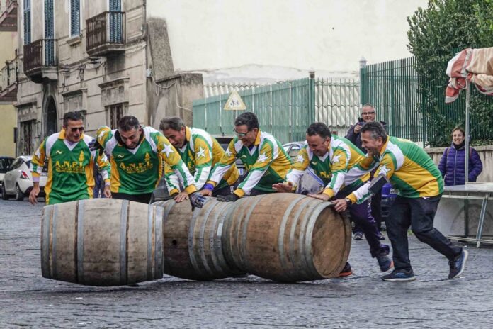 20221113__CIC8025_Ciccolella-1536x1024