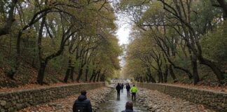 transizione energetica