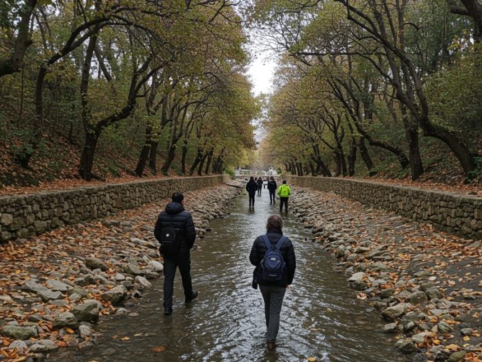 transizione energetica