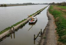 Biodiversità fluviale