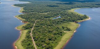 Paradosso brasiliano