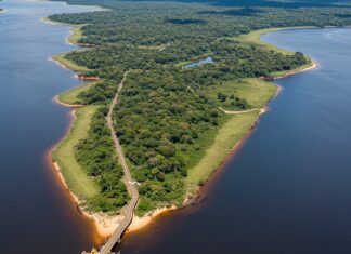 Paradosso brasiliano