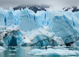 Ghiacciai in ritirata: affamano l’ecosistema marino Nutrienti glaciali