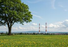 Salute: la prevenzione parte dall’ambiente Prevenzione ambientale