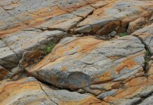 Mappe geologiche: webinar sull’evoluzione storica Cartografia geologica