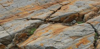 Cartografia geologica