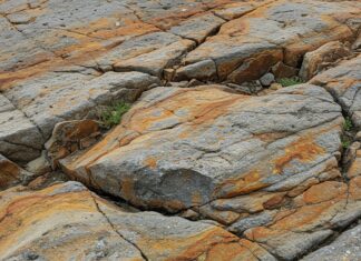 Cartografia geologica