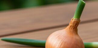 Insetticida ecologico