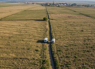 Prevenzione oncologica