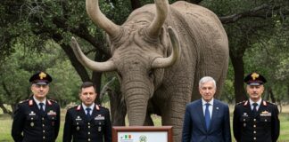 Tutela biodiversità