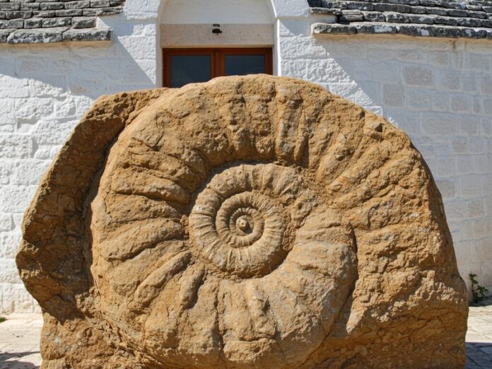 4_geologia_pugliese Geologia pugliese