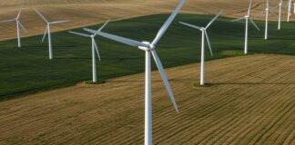 Sviluppo rinnovabili