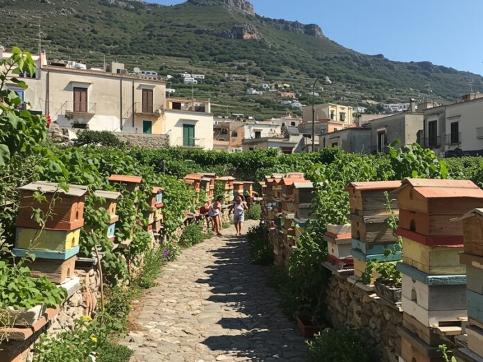 Rigenerazione ambientale