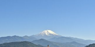 Formazione sostenibile