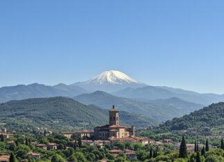 Firenze: un master per la transizione ecologica Formazione sostenibile