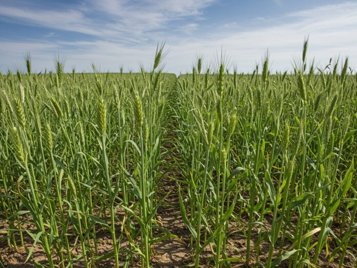 6_integrita_scientifica Integrità scientifica