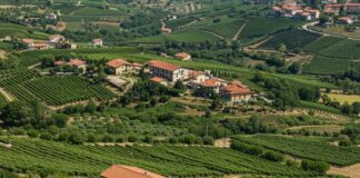 Comunità energetiche