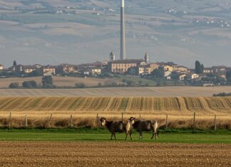 Inquinamento: Pianura Padana tra le peggiori d’Europa Qualità aria