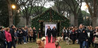 Adozioni consapevoli